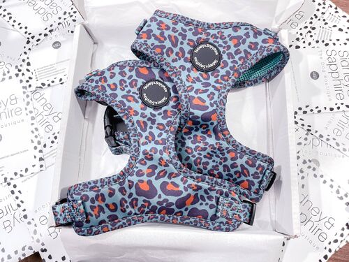 Navy Leopard Print 'Wild Willow' Dog Harness