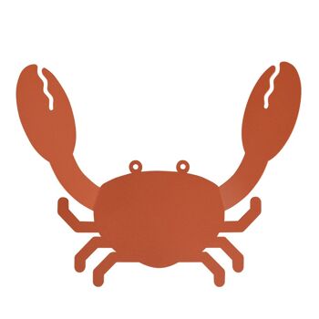 cintre de crabe 1