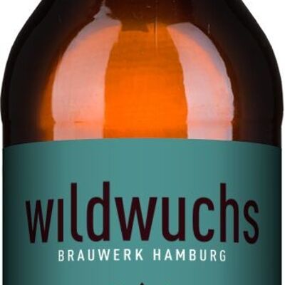 Alt Kanzler Rauchbier 0,33l