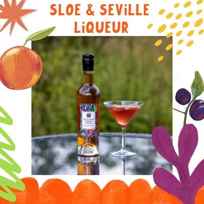 Sloe & Seville Orange Liqueur