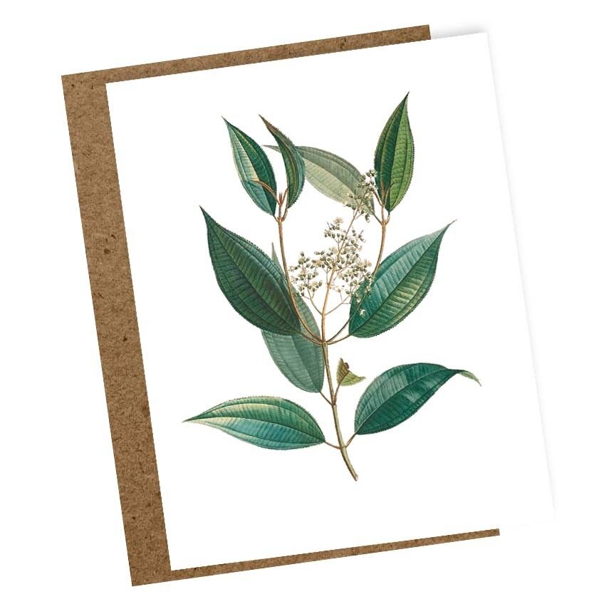 Mini biglietto di auguri Spirito