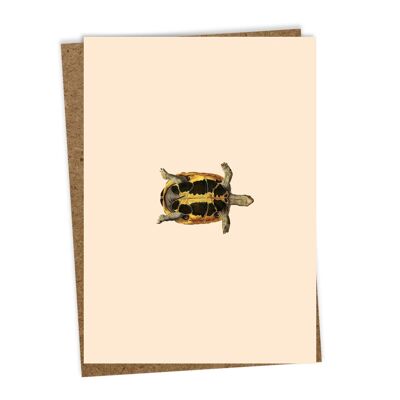 Greeting Card Sleepy Head