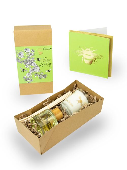 Bee Zesty Lime Blossom Home Fragrance Gift Set