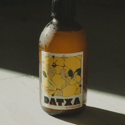 Kombucha Maté Jengibre Limón Orgánico / orgánico