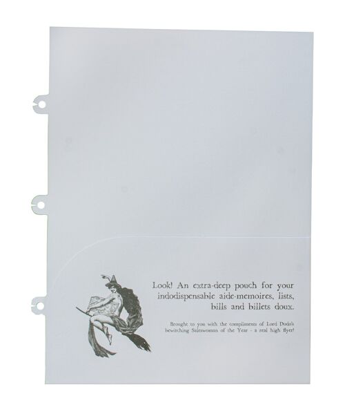 Laminated Pouched Dividers - Pack of 2