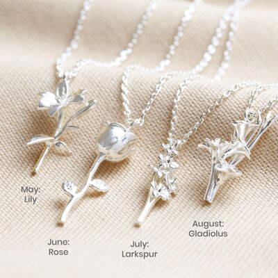 Juli-Rittersporn-Geburtsblumen-Halskette in Silber