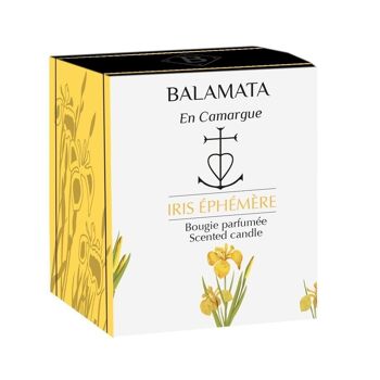 Iris Éphémère - Bougie Parfumée - 80G - En Camargue 3