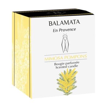 Mimosa Pompons - Bougie Parfumée - 200G - En Provence 3