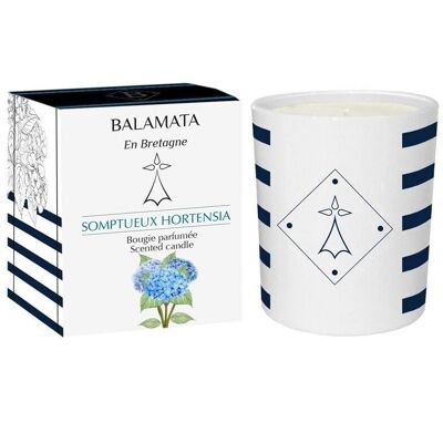 Sumptuous Hydrangea - Scented Candle - 200G