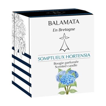 Somptueux Hortensia - Bougie Parfumée - 200G - En Bretagne 3