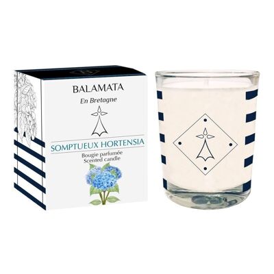 Sumptuous Hydrangea - Scented Candle - 80G - In Brittany