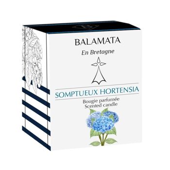 Somptueux Hortensia - Bougie Parfumée - 80G - En Bretagne 3