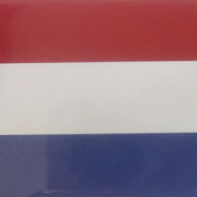 Fridge Magnet Flag met wapen holland