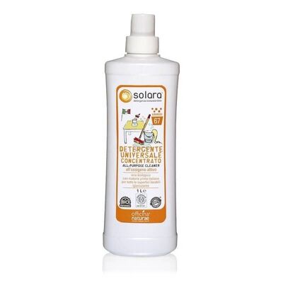 Nettoyant tout usage concentré 1 litre