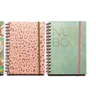 Notebook. Pack of 3 A5 spiral notebooks with design