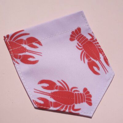 Lobster iron-on pouch