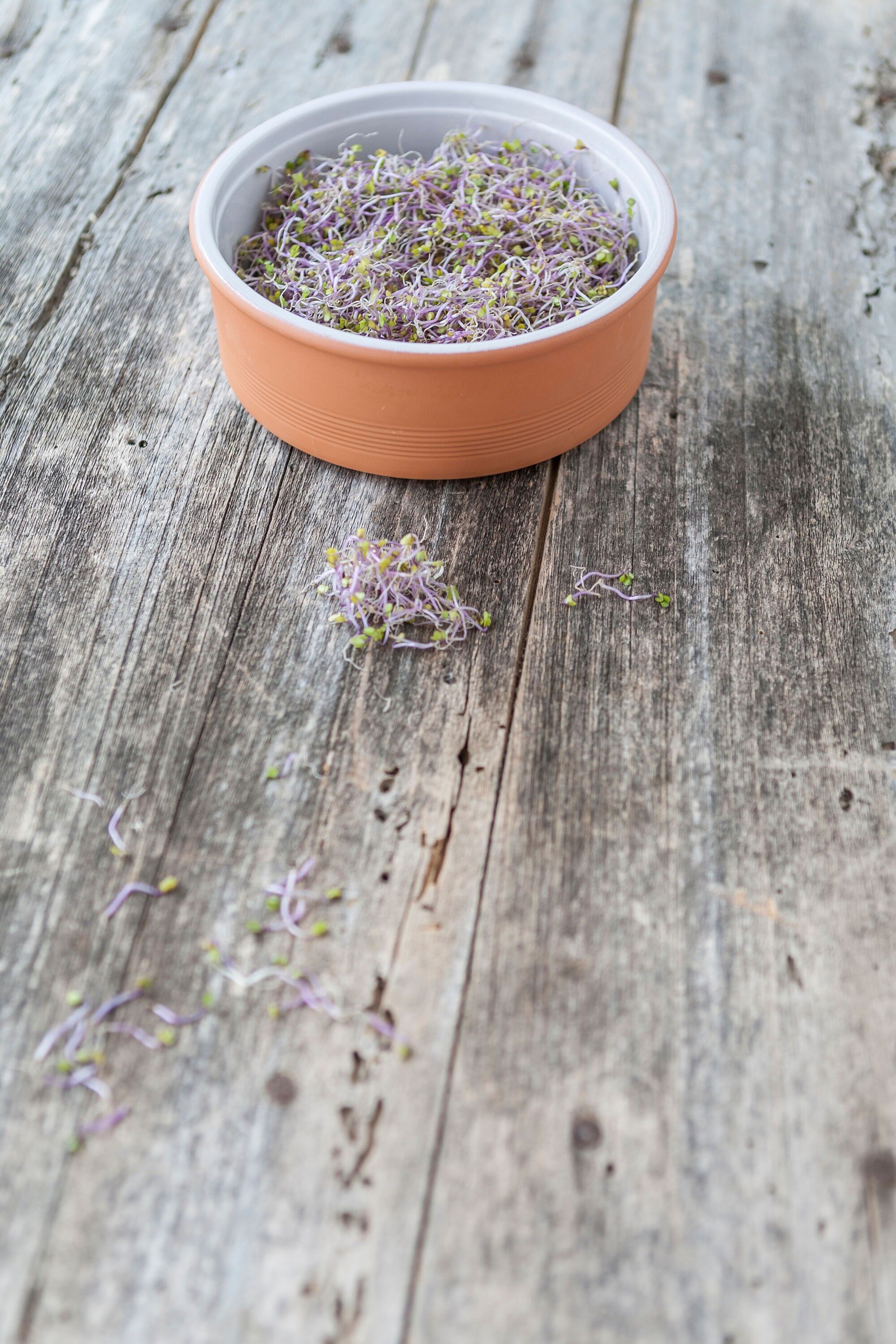 3-stöckiger Terrakotta-Spross