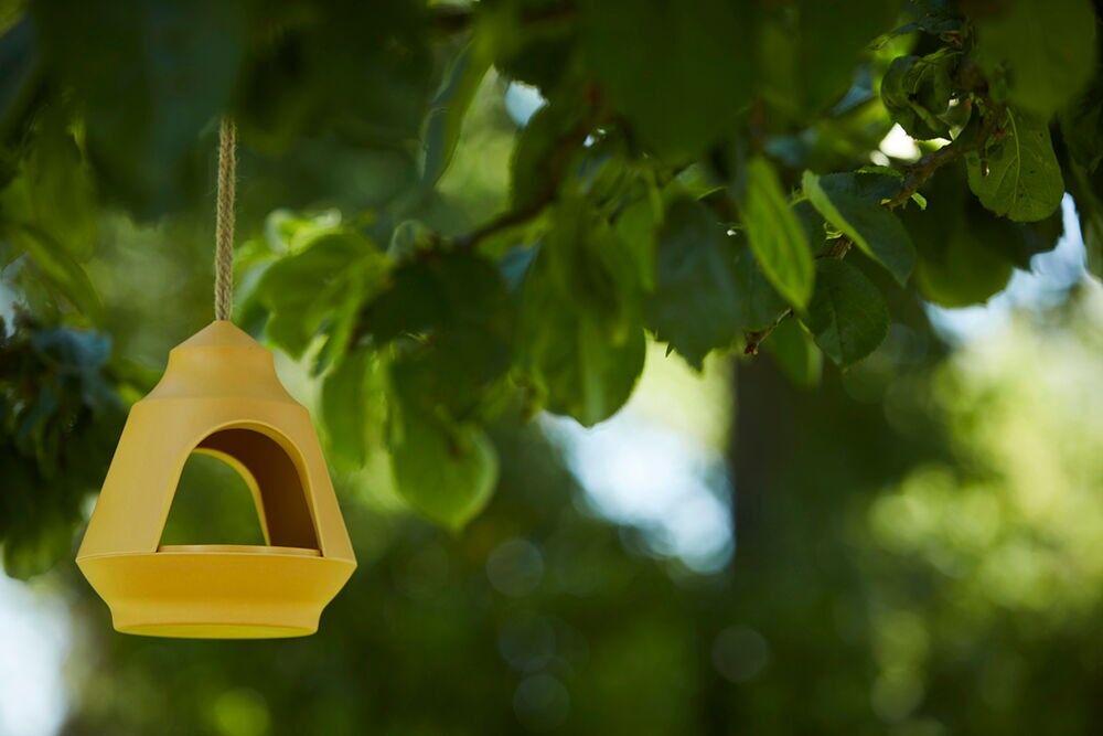 Ockerfarbener Vogelhäuschen