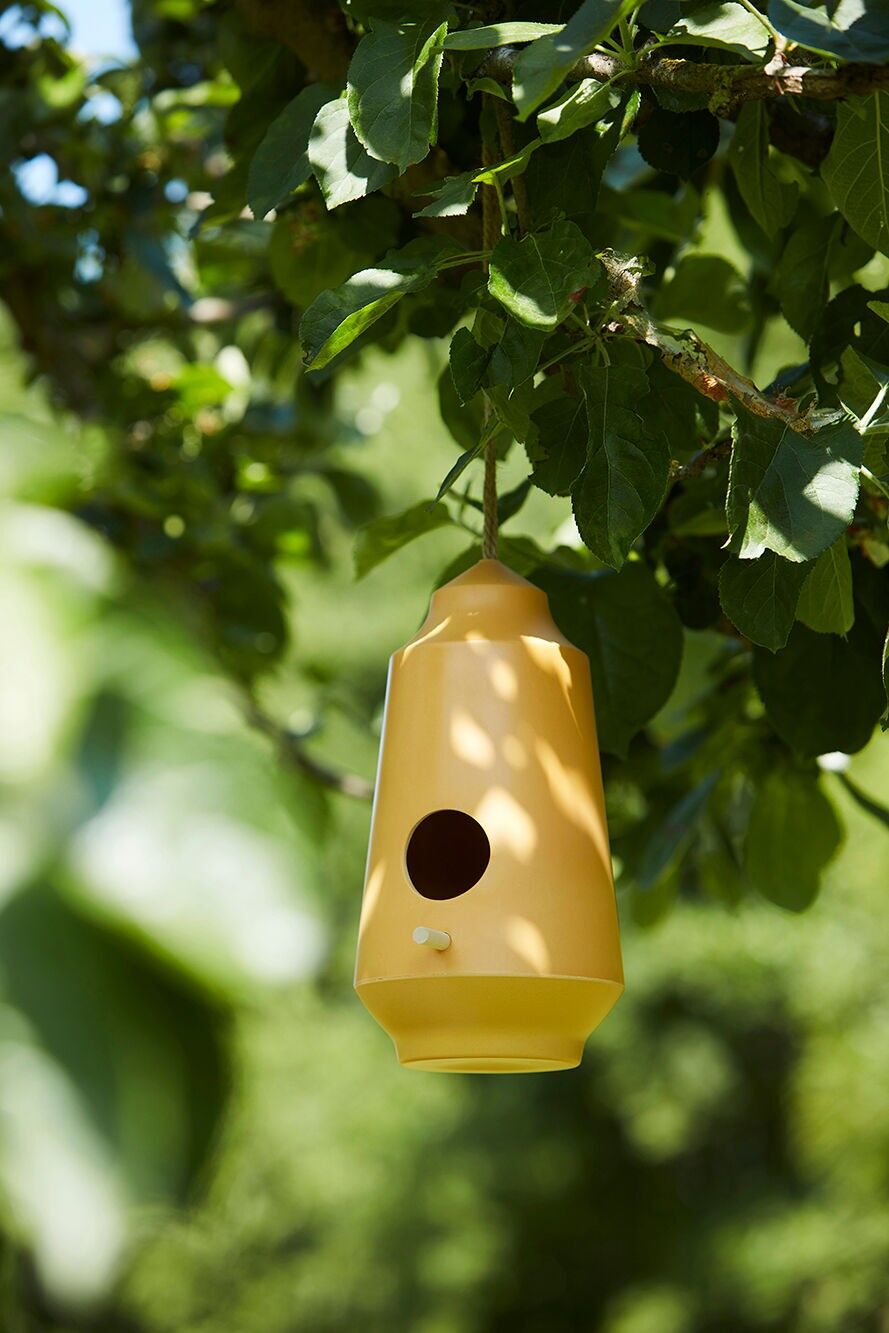 Ockerfarbenes Vogelhaus
