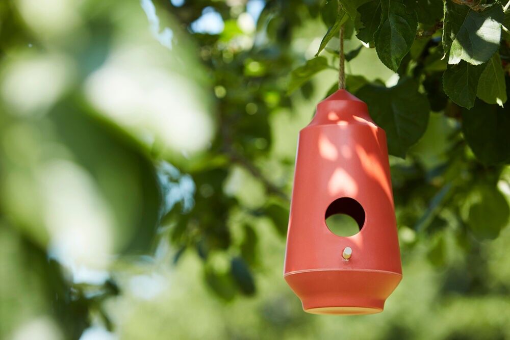 Vogelhaus in oranger Farbe