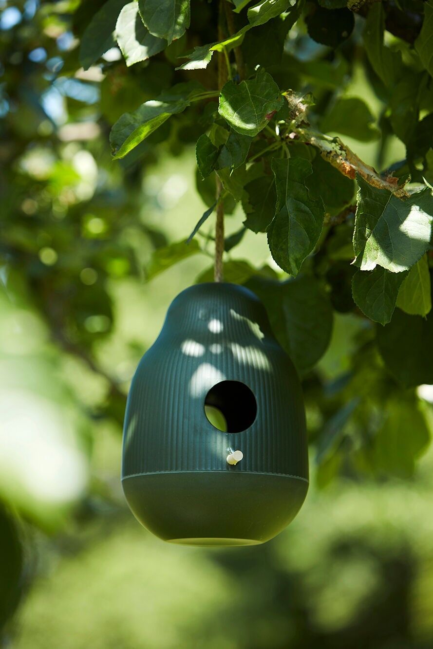Casetta per uccelli di colore verde cacciatore