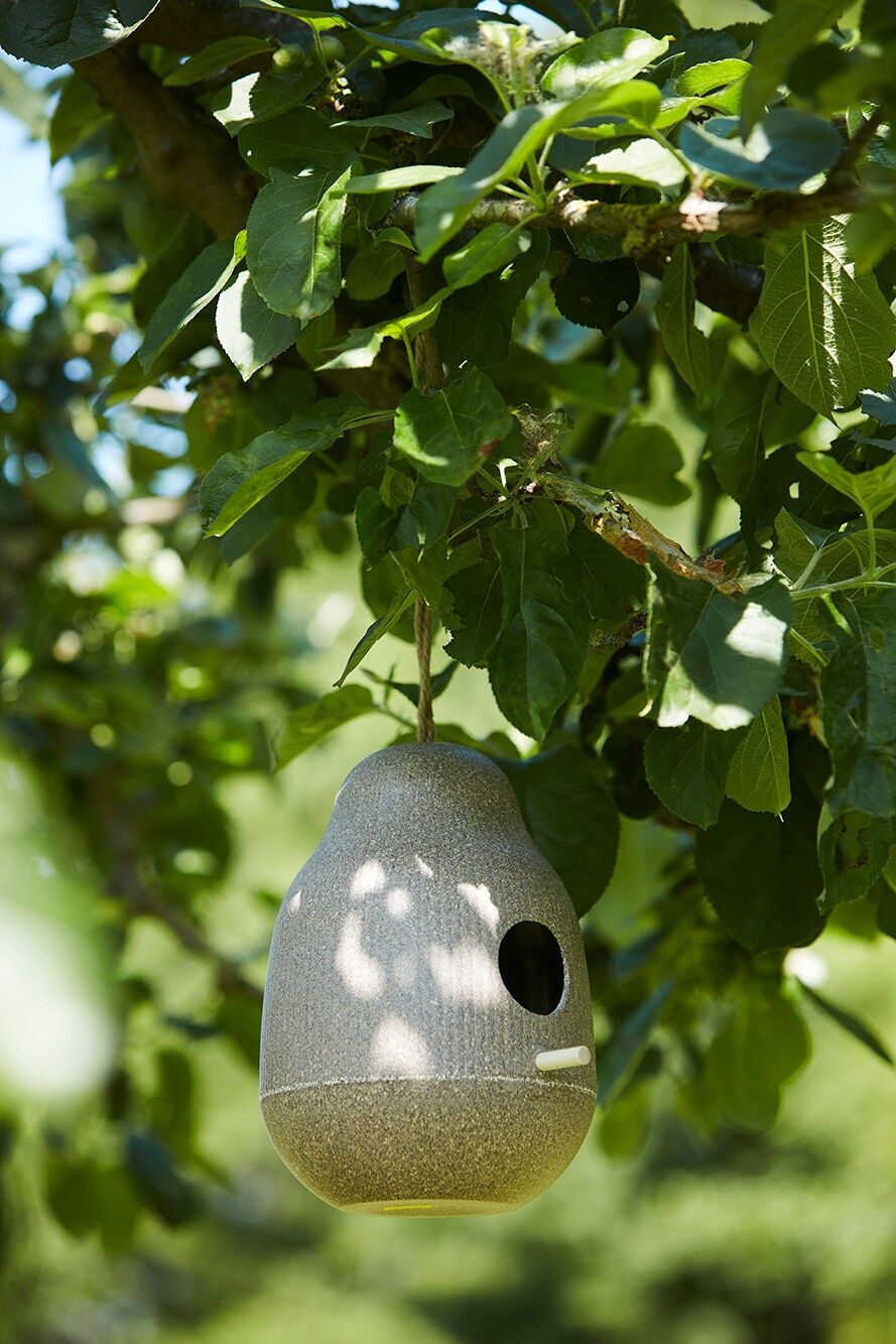 Pajarera color natural