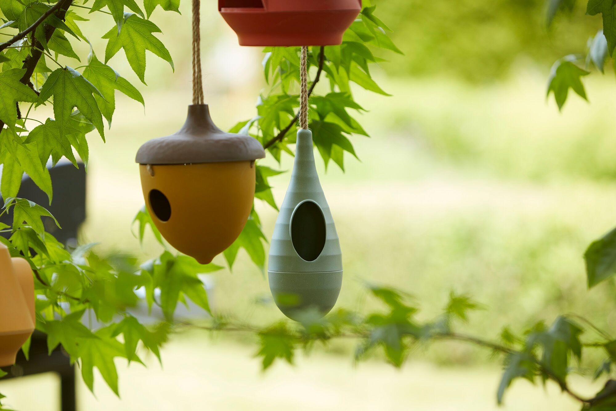 Birdhouse color ocra ghianda