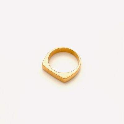 ‘Veto' gold bar ring