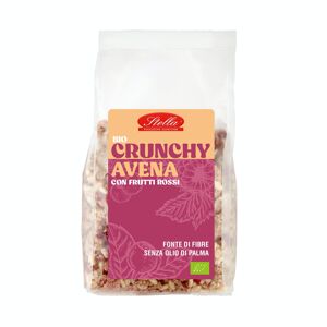 Stella Crunchy Muesli Avoine Biologique Aux Fruits Rouges