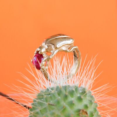 Anello scarabeo - Rosa - Bronzo
