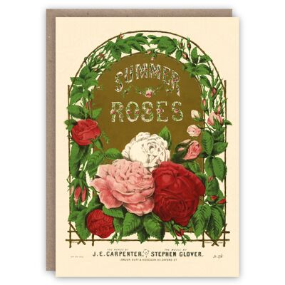 Summer Roses