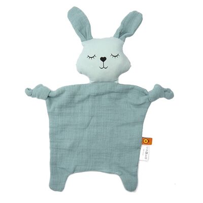 Organic doudou bunny