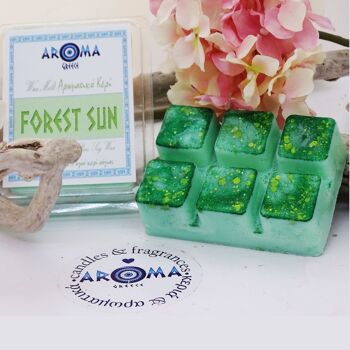 Arôme Forêt Soleil - Wax Melt Clamshell 1