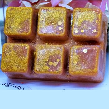 Aroma Spice - Wax Melt Clamshell 2