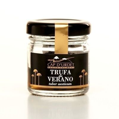 Truffe d'été 20gr. Cap d'Urdet