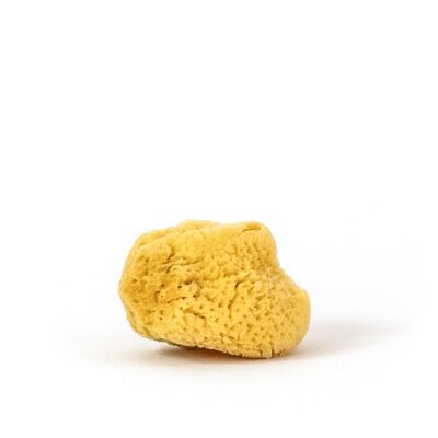 Natural sponge