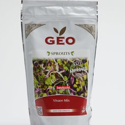 Organic perennial seed mix 300g