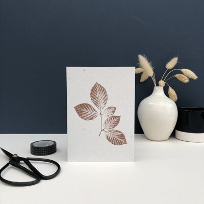 Plant print greeting card | Autumn beech tree leaves
