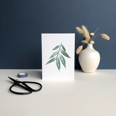 Plant Print Greeting Card | Willow tree leaf print in green