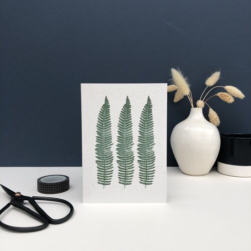 Trio of ferns - eco greeting card