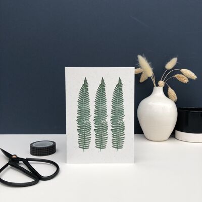Trio of ferns - eco greeting card