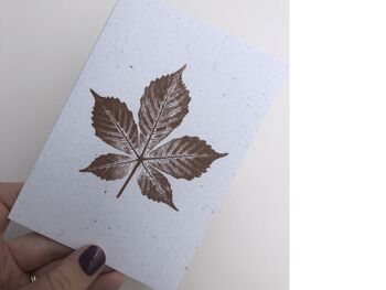 Carte de voeux d'impression de plante | Feuille de marronnier d'automne 2