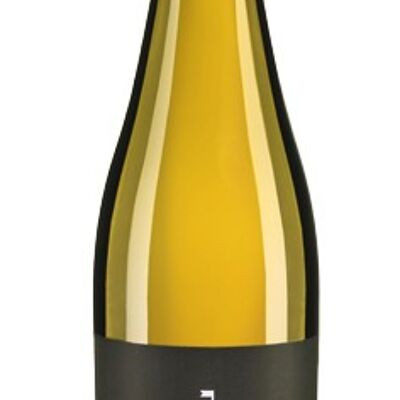 Riesling Haardter 2021, secco