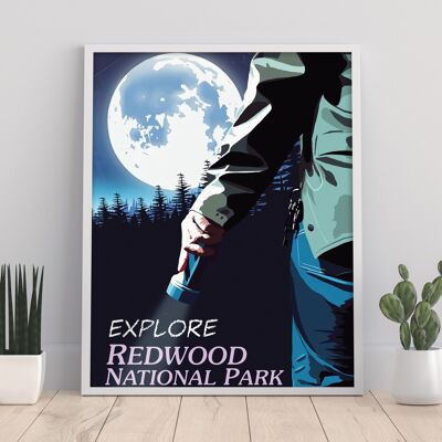 Filmposter – Außerirdischer Park – 27,9 x 35,6 cm Premium-Kunstdruck