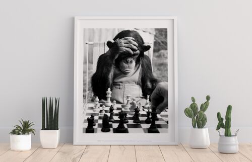 Poster - Monkey Image - 11X14” Premium Art Print