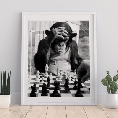 Poster - Immagine scimmia - Stampa artistica premium 11 x 14".