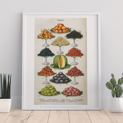Vintage Retro Poster Of Of Fruit - 11X14” Premium Art Print