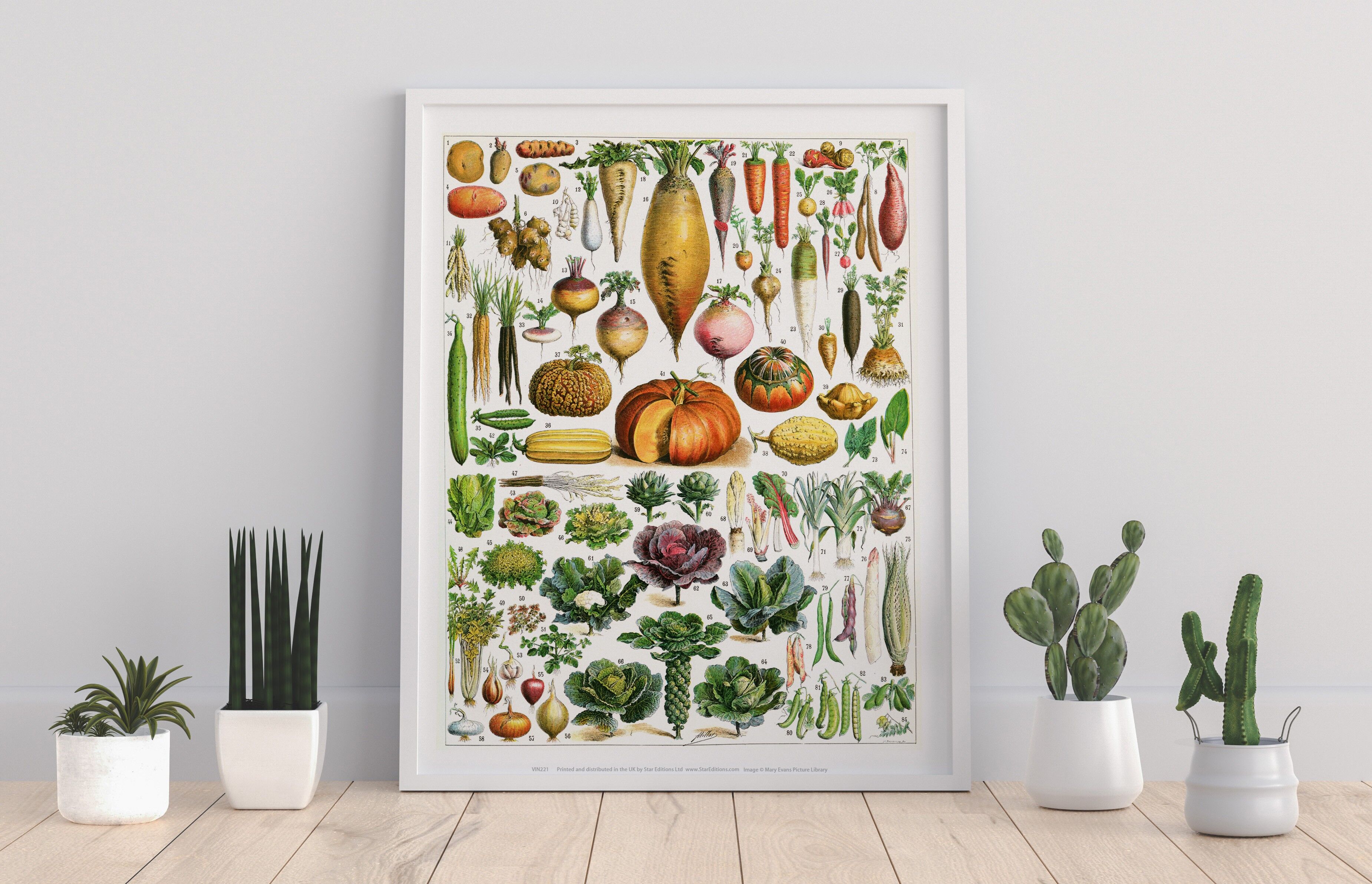 Verduras clasificadas en números del 1 al 84 - Impresión artística premium de 11X14”