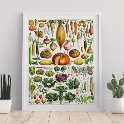 Gemüse kategorisiert in den Zahlen 1 bis 84 – 11 x 14 Zoll Premium-Kunstdruck