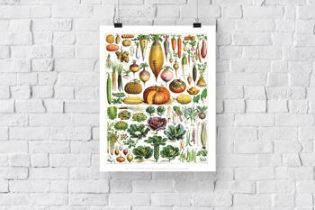 Légumes classés dans les numéros 1 à 84 - 11X14" Premium Art Print 3